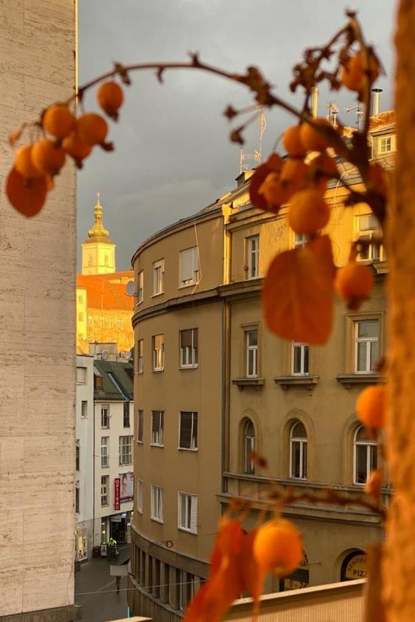 Main Square Dream Apartment Zagreb Eksteriør billede